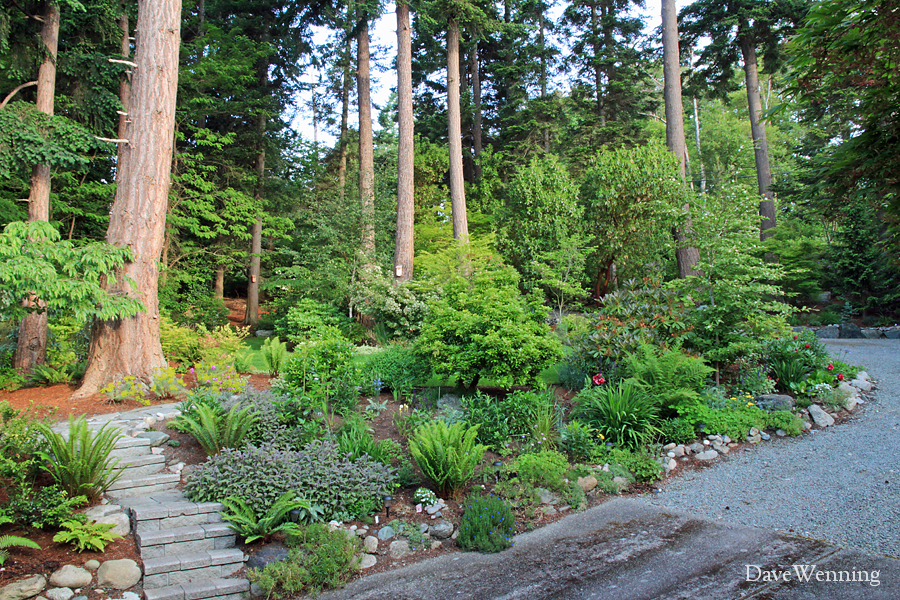 Gardening for Wildlife: Cover